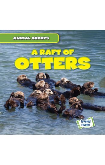 A Raft of Otters
