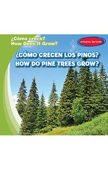 ¿Cómo Crecen Los Pinos? / How Do Pine Trees Grow?