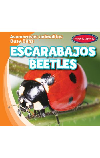 Escarabajos / Beetles