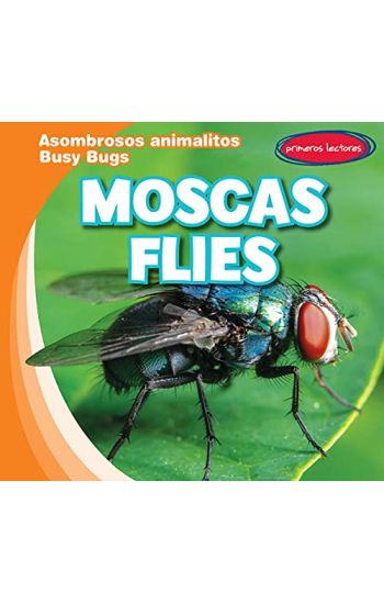 Moscas / Flies
