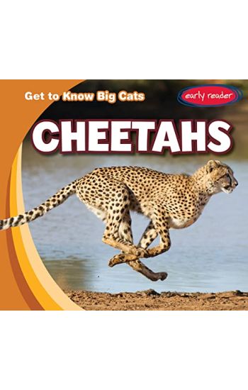 Cheetahs