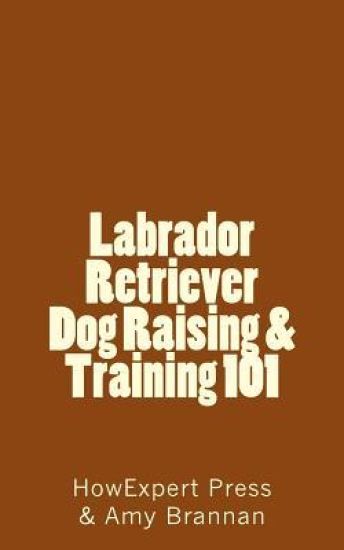Labrador Retriever Dog Raising & Training 101