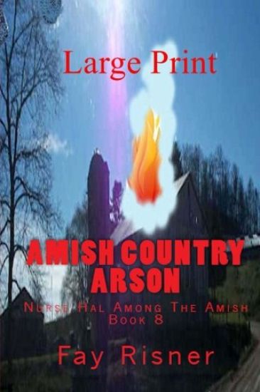 Amish Country Arson: Nurse Hal Among The Amish