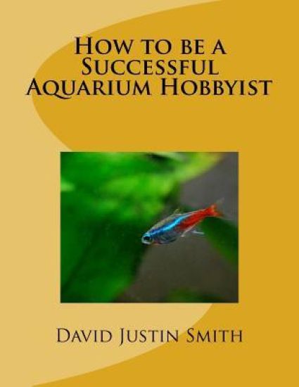 How to be a Successful Aquarium Hobbyist