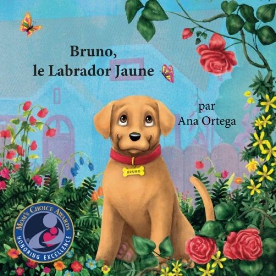 Bruno, le Labrador Jaune