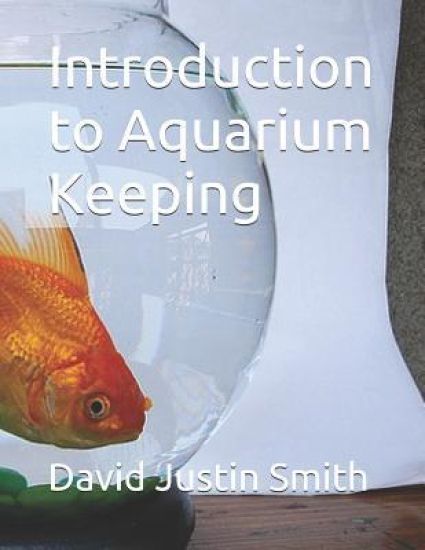 Introduction to Aquarium Keeping