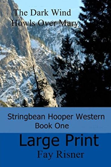 The Dark Wind Howls Over Mary: Stringbean Hooper Western Series