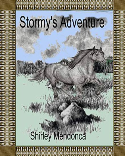 Stormy's Adventure