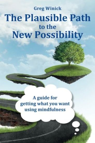 The Plausible Path to the New Possibility: A guide for getting what you want using mindfulness