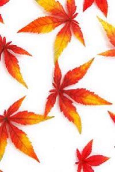 Autumn Leaves