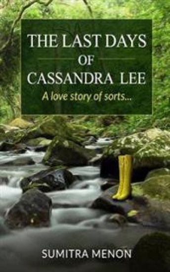 The Last Days of Cassandra Lee: A love story of sorts...