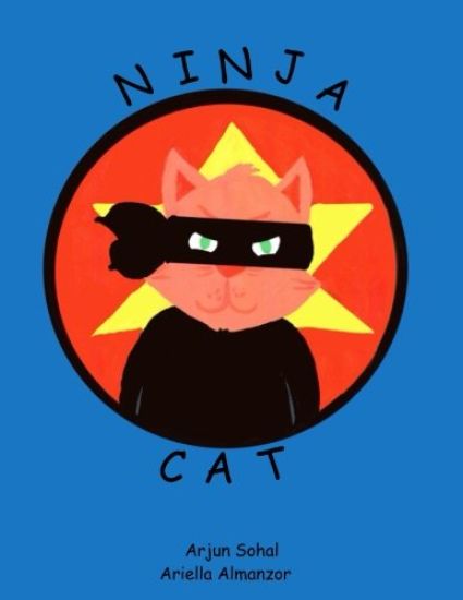 Ninja Cat