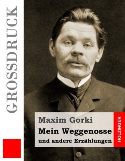 Mein Weggenosse und andere Erzählungen (Großdruck)