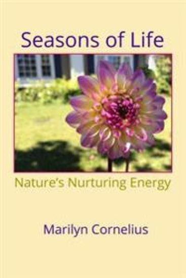 Seasons of Life: Nature's Nurturing Energy