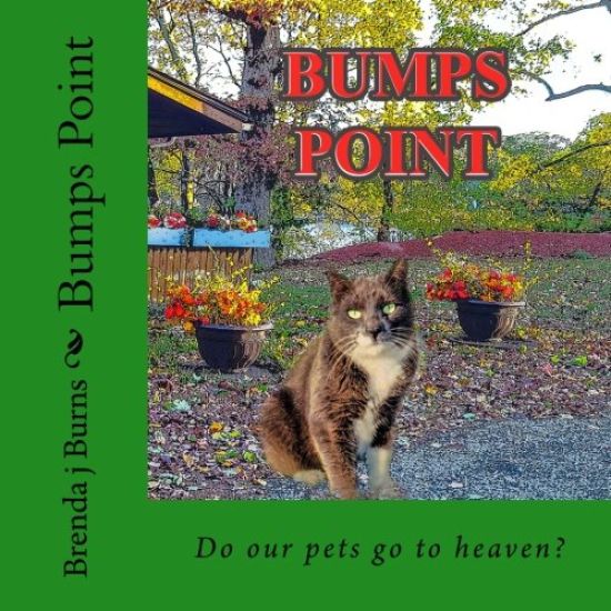 Bumps Point: Do our pets go to heaven?