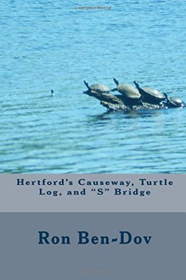 Hertford Causeway, Turtle Log, and S Bridge