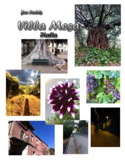 Joe Forte's Villa Mesa Italia