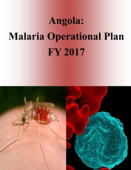 Angola: Malaria Operational Plan FY 2017 (President's Malaria Initiative)