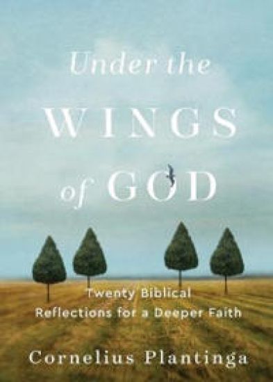 Under the Wings of God – Twenty Biblical Reflections for a Deeper Faith
