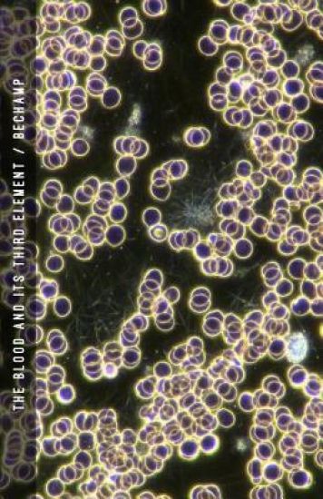 The Blood and Its Third Element
