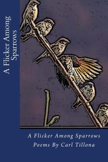 A Flicker Among Sparrows