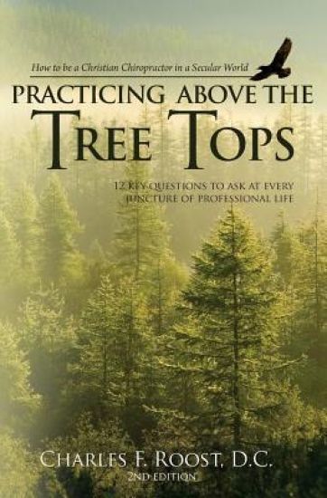 Practicing Above the Tree Tops: 12 Key Questions to Ask at Ever Juncture of Professional Life