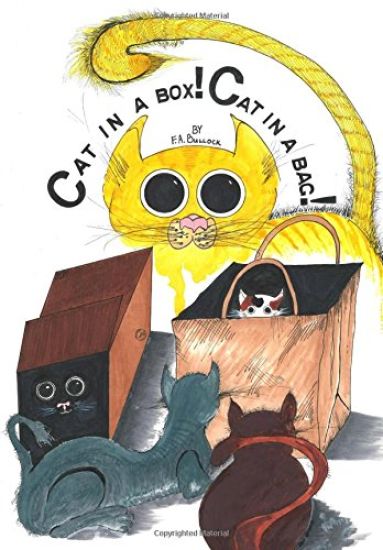Cat in a box! Cat in a bag!