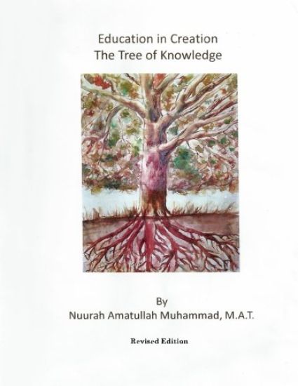 Education In Creation: The Tree of Knowledge