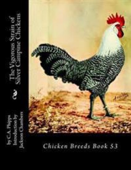 The Vigorous Strain of Silver Campine Chickens: Chicken Breeds Book 53