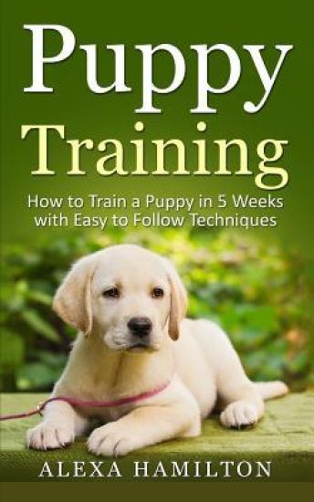 Puppy Training: How To Train a Puppy in 5 Weeks With Easy To Follow Techniques