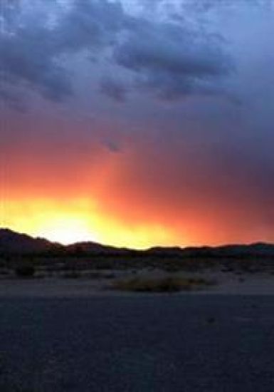 We Are The Survivors