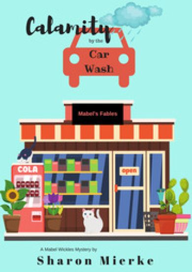 Calamity by the Car Wash