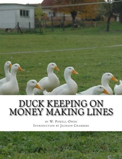 Duck Keeping on Money Making Lines: With Sections on Geese, Turkeys and Guinea Fowl