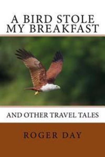A bird stole my breakfast