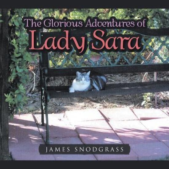 The Glorious Adventures of Lady Sara