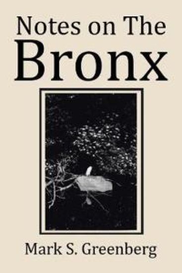 Notes on The Bronx