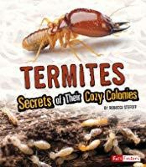 Termites: Secrets of Their Cozy Colonies