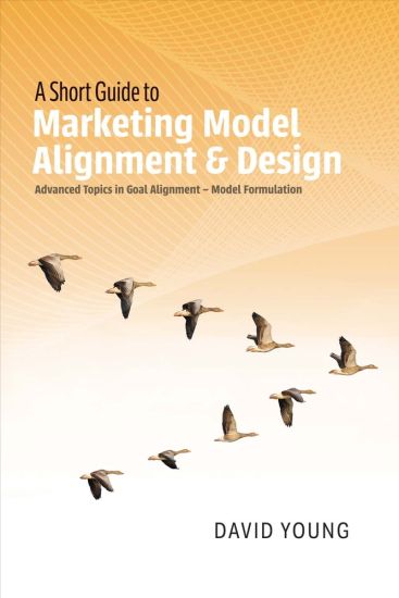 A Short Guide to Marketing Model Alignment & Design: Advanced Topics in Goal Alignment - Model Formulation Volume 1