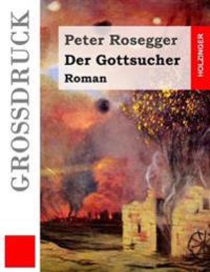 Der Gottsucher (Großdruck): Roman