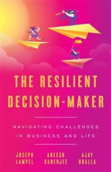 The Resilient Decision-Maker