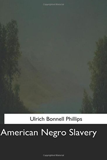 American Negro Slavery