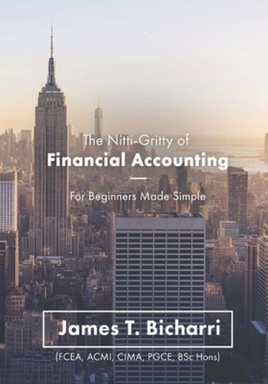 The Nitti-Gritty of Financial Accounting: For Beginners Made Simple