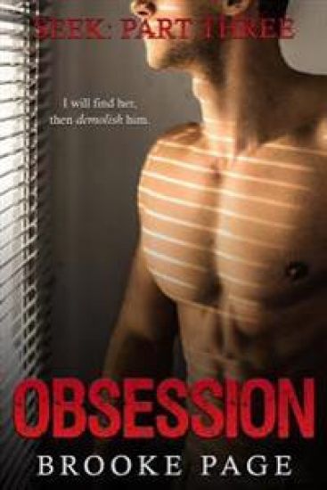 Seek: Part Three of the Obsession Series: The Obsession Series