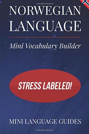 Norwegian Language Mini Vocabulary Builder: Stress Labeled!