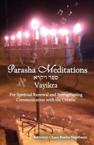 Parsha Meditations: Vayikra - Online with Hashem: For Spiritual Renewal and Strengthening Communication with the Creator