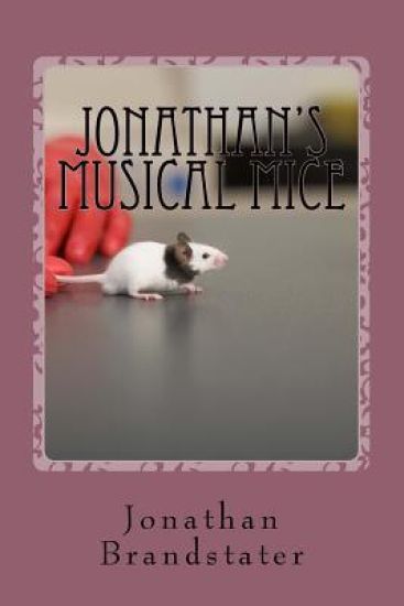 Jonathan's Musical Mice: A spot the differences book