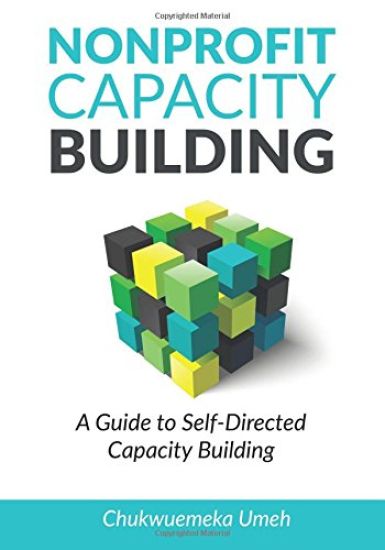Nonprofit Capacity Building: A Guide to Self-Directed Capacity Building