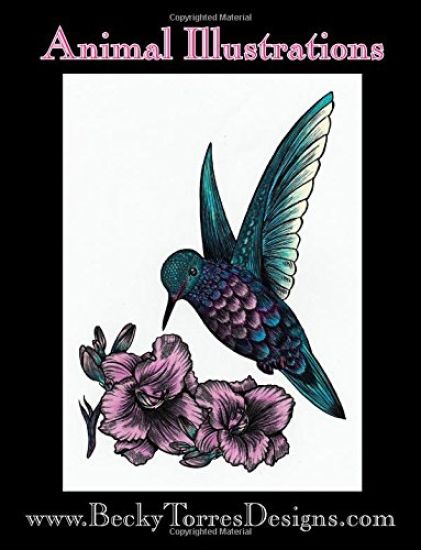 Animal Illustrations