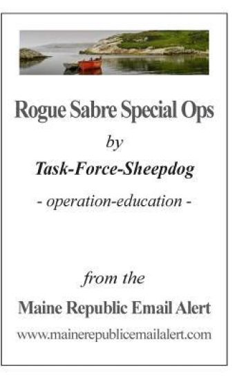 Rogue Sabre Special Ops: by Task-Force-Sheepdog - operation-education -