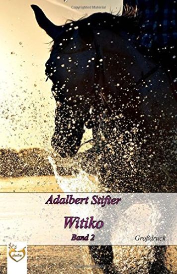Witiko (Großdruck): Band 2